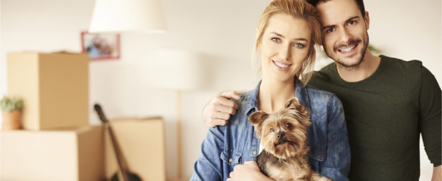 pet-friendly apartments pet-friendly apartments pet-friendly apartments pet-friendly apartments pet-friendly apartments pet-friendly apartments pet-friendly apartments pet-friendly apartments pet-friendly apartments pet-friendly apartments pet-friendly apartments pet-friendly apartments