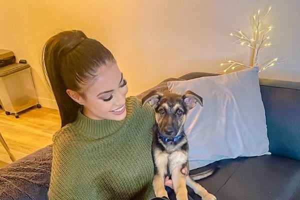 Rent a Pet Friendly Apartment in Montreal